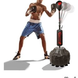 MAM Champs Reflex punching bag and kickboxing bag..Below Retail Price ..in grate condition 