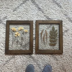 Pressed Flowers
