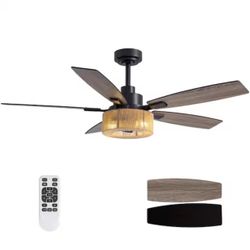 52 in. Indoor Matte Black Net Caged Ceiling Fan with Light Kit, Reversible Blades and Remote Included
