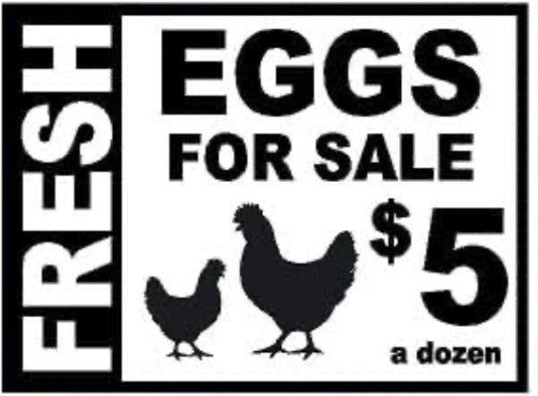 Farm Fresh Eggs Daily 