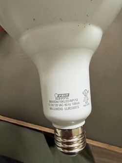 BR40 Feit 2700k LED lightbulbs