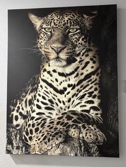 House friendly paintings