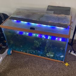 Aquarium 