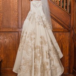 Wedding Dress 2014 Preserved