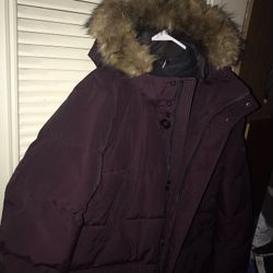 Lnew High Quality Tommy Hilfiger Down Coat With Removable Hood Only $50 Firm