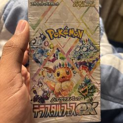 Terrestrial Festival Booster Box! - Pokemon