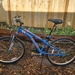 Mountain Bike (Murray Bayberry)