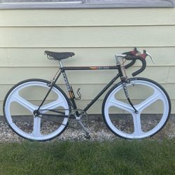 Fixie Bike ,free Wheel 54”