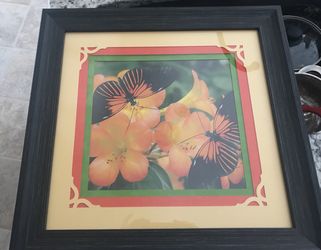 Butterfly Picture Frame