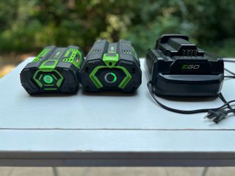 EGO Power+ lithium-ion battery
