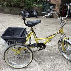  Three Wheel Electric Bike, Yellow