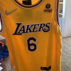 LEBRON JERSEY 
