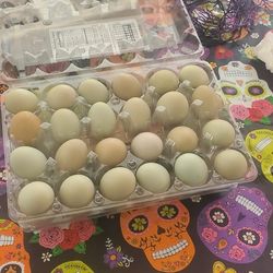 Organic Eggs