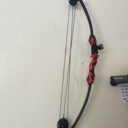 Right Hand Compound Bow 