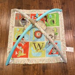 Skip Hop Alphabet Zoo Activity Gym Playmat