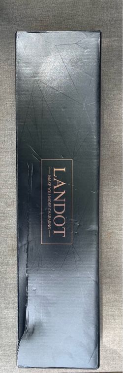 Landon Electric Blowout Styler