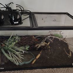 40 Gallon Tank 