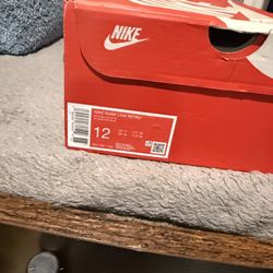 Brand New Nike Dunk Panda