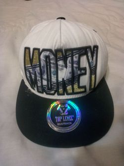 Top Level Brand Snapback Hat.