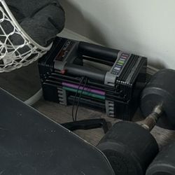 1 (single) Adjustable Dumbbell (5-50lbs)