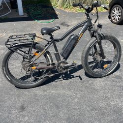 Rad Rover E Bike