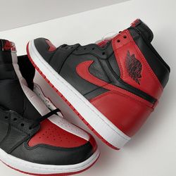 DS Jordan 1 Homage To Home M