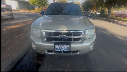 2010 Ford Escape