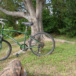 Eddie Bauer Bicycle Used To New