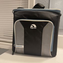 Igloo Cooler Bag