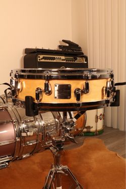Yamaha 4”x14” Maple Custom Absolute Nouveau Snare Drum - Amazing Condition