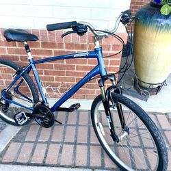 Hybrid Bike
