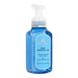 Bath and Body Works Gentle Foaming Hand Soap