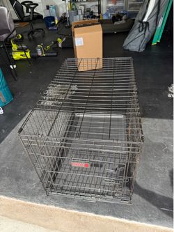 Kong Dog Crate