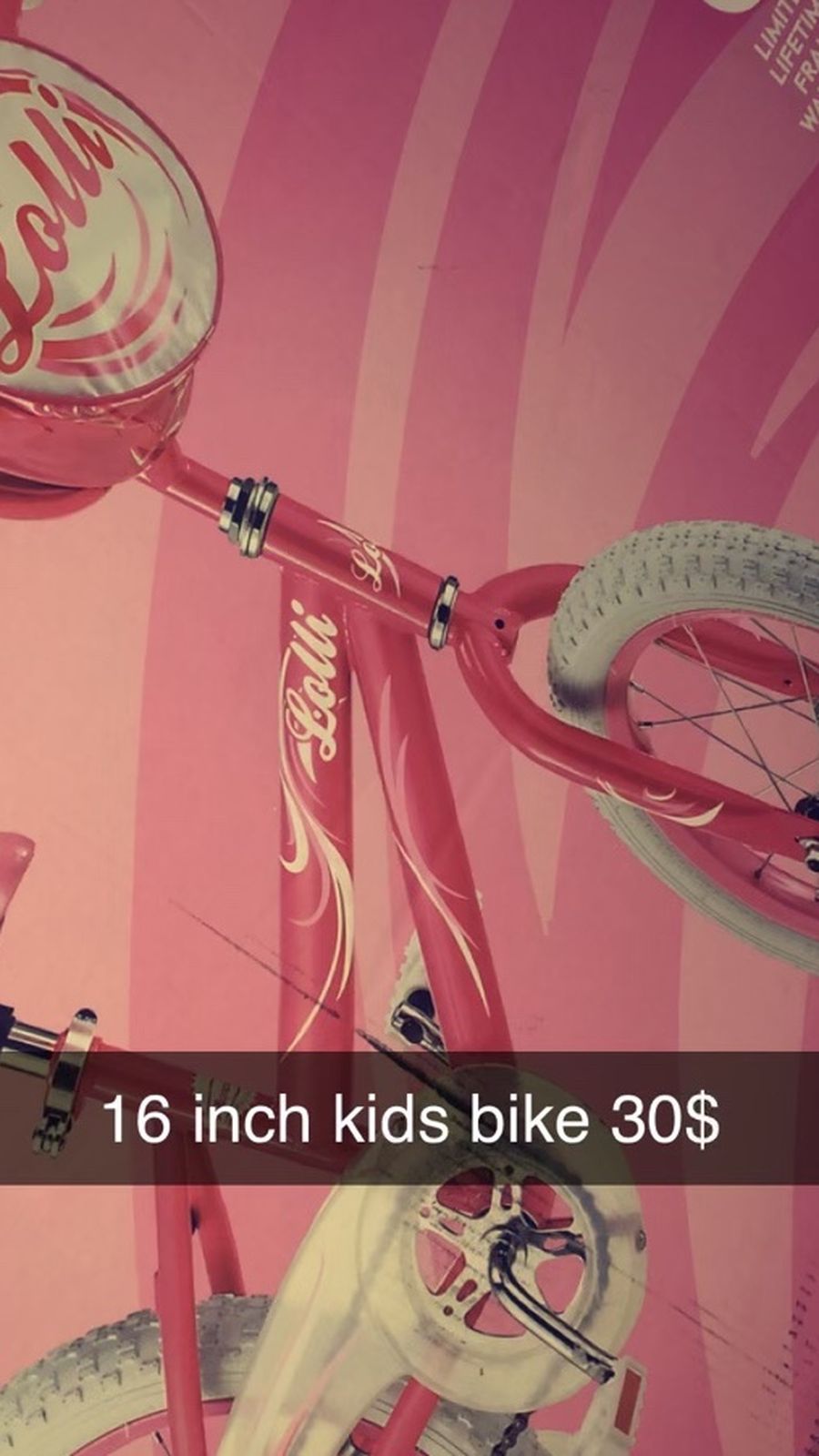 Girls Size 16 Inch Bike