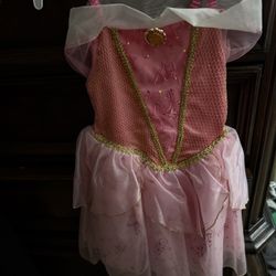 Authentic Sleeping Beauty Costume 