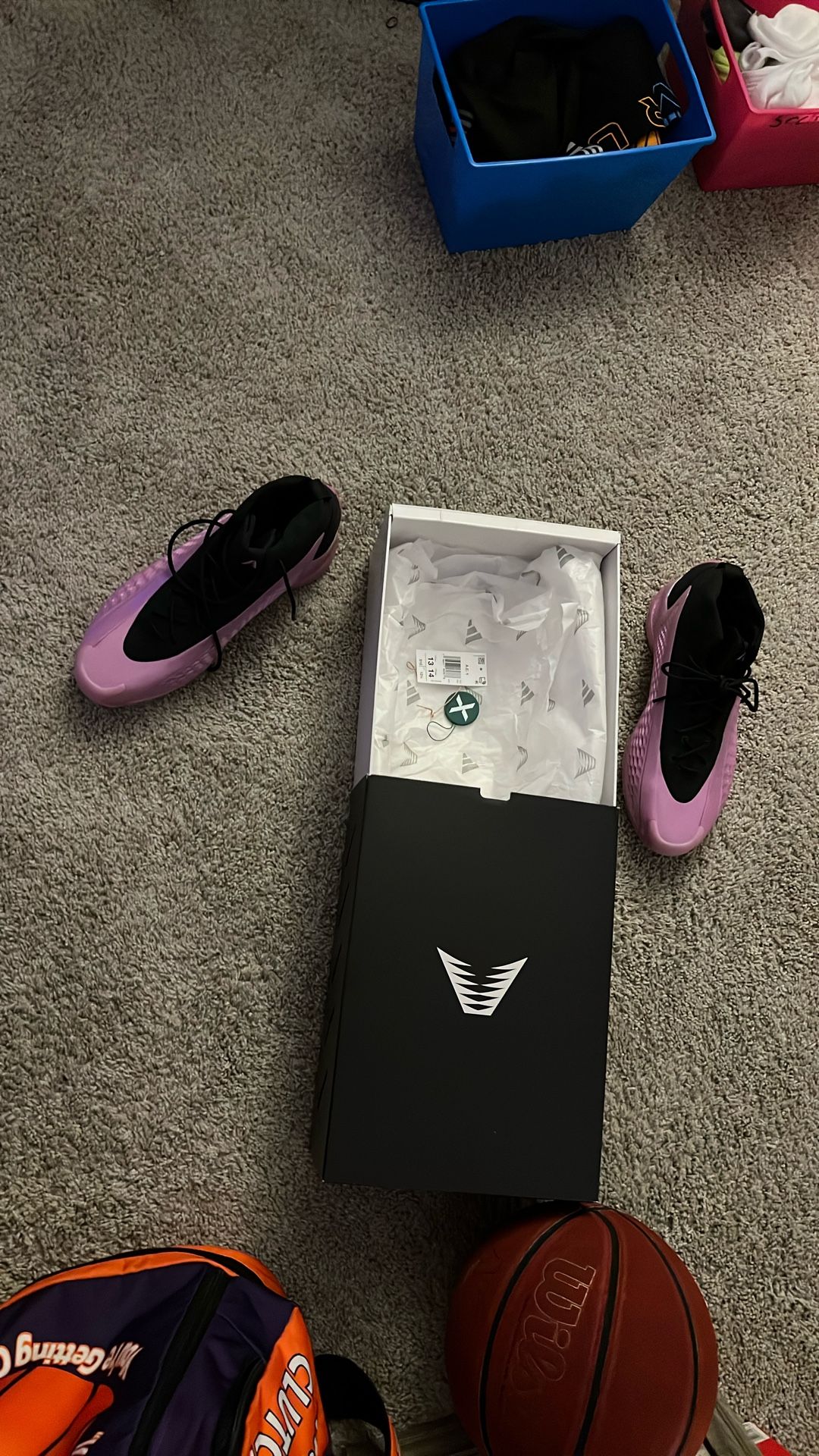 A.E. 1 Shoe