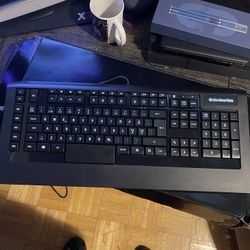 steelseries apex raw Keyboard 