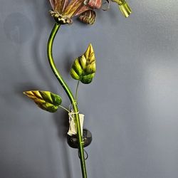 Solar Hummingbird Stake