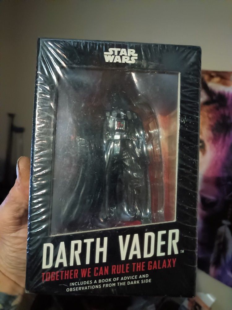 Darth Vader in a Box Together We Can Rule the Galaxy Figurine