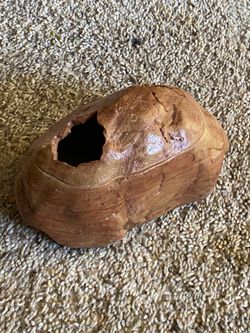 Thrive Medium Gecko Hide