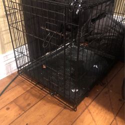 Dog Cage