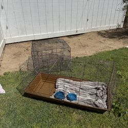 Animal Crates 