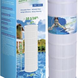 TOREAD Replacement for Pool Filter Pentair 