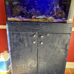 Reef Aquarium NUVO Fusion Pro 30 gallons