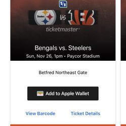 Steelers @ Bengals 11/26