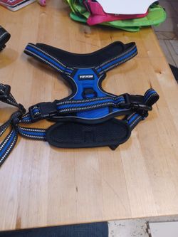 Dog Harness