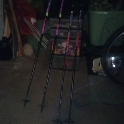 Anzoni and Tecno Pro Ski Poles