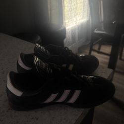 Black Sambas 