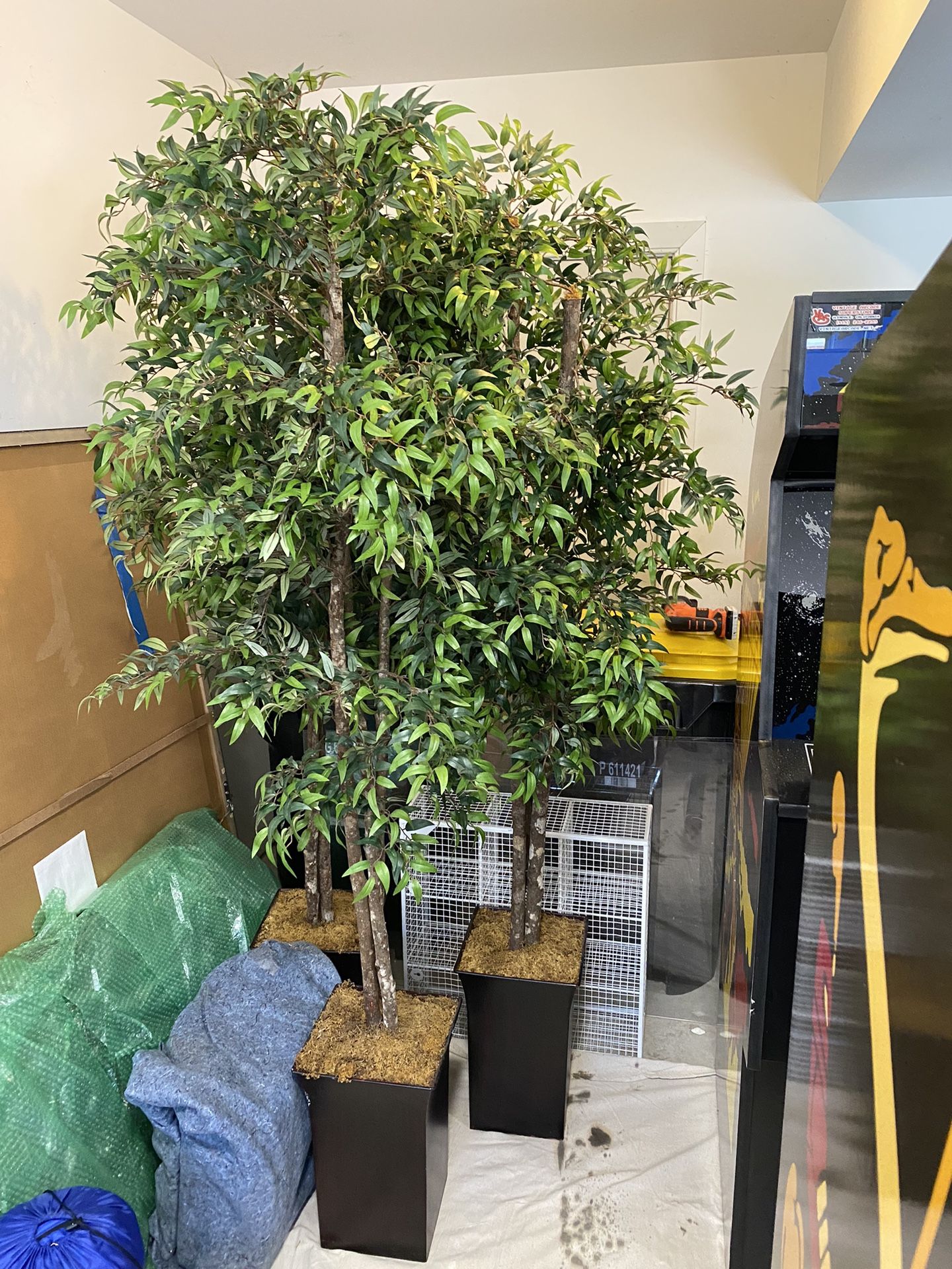 Silk Vicus Tree 6’