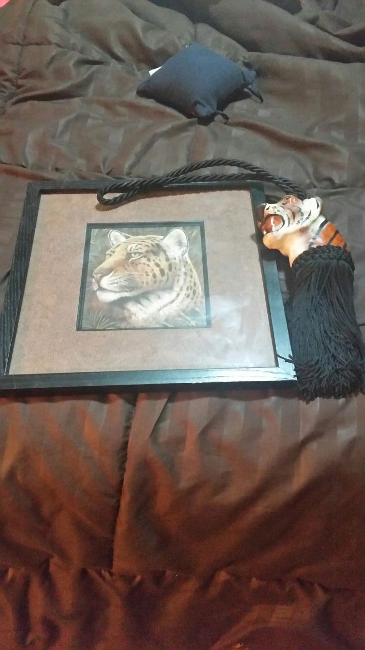 Tiger picture and tie back